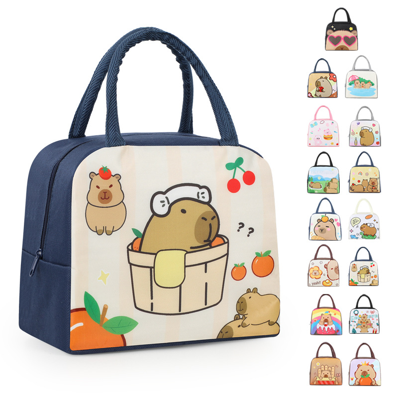 Bonita bolsa de almuerzo de dibujos animados portátil con bolsa de almuerzo bolsa de aislamiento térmico para el trabajo y la escuela bolsa de almuerzo bolsa de viaje lindo divertido