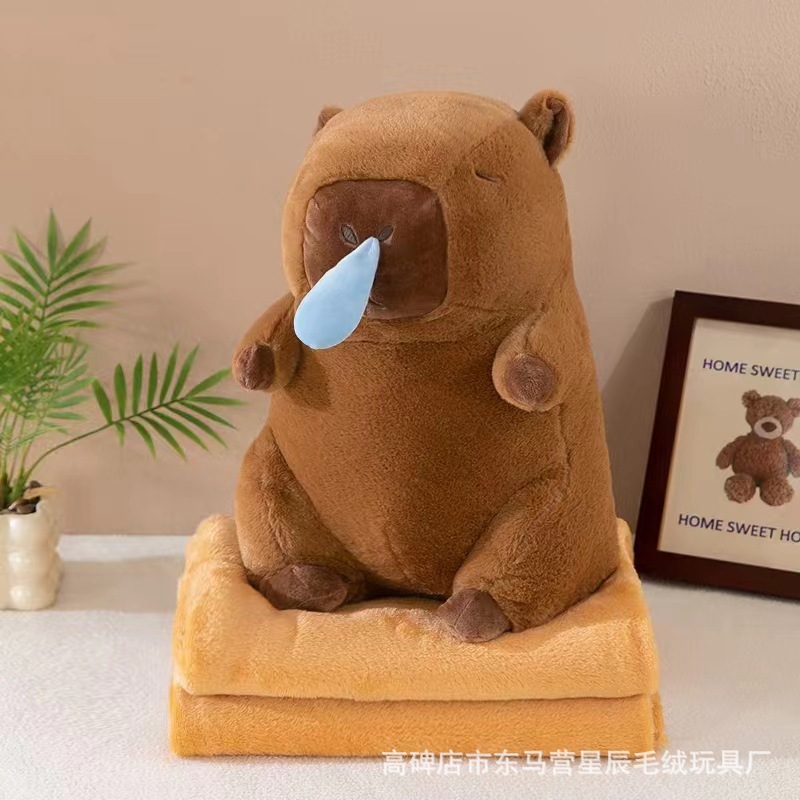 콧물 카피바라
