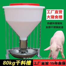 猪用粗桶干料槽80公斤猪自由采食料槽猪育肥猪料槽不锈钢猪食槽