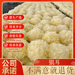 �����y��M?c nh? tr?ng�o��F؛���l��ϴ�����ľ�����b���l