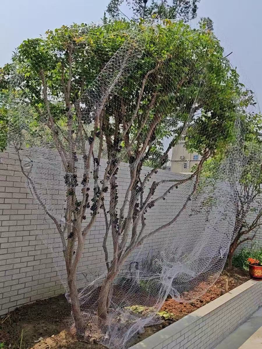 微信图片_20250410142927