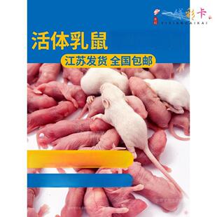 ������С�������ߟo���������D���