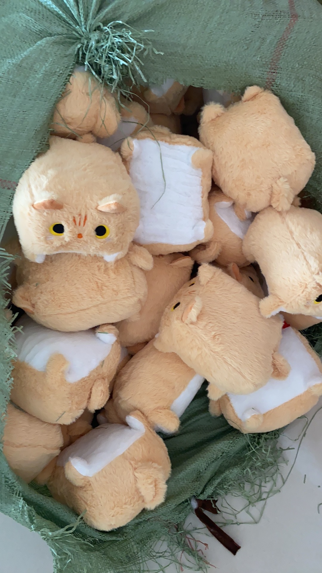 微信图片_20241227114051