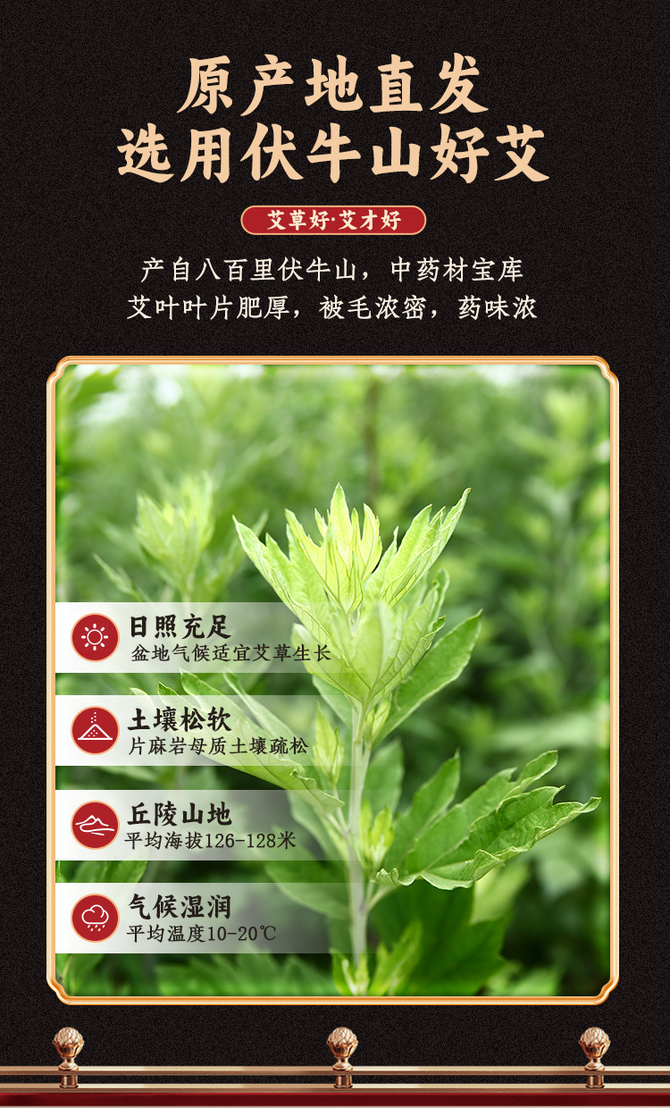 Luying Moxa Sticks Ai Tiao 18x200mm 10 Pack Pure Moxa Wool for Warming Moxibustion quality and texture