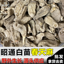 ��ͨ�������Ұ�����������ͨ�������؛���l�a��ֱ�l����ֱ����