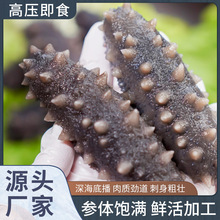 高压即食海参5~8头大连辽刺参500g独立包装代发水产锁鲜辽参