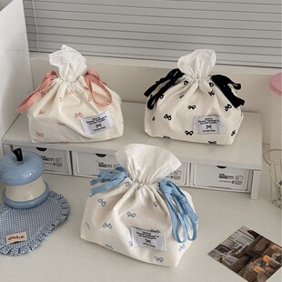 Cross-border Sweet Bow Paper Box Fresh Ins Style High Color Value Portable Home Simple Dust-proof Storage Bag