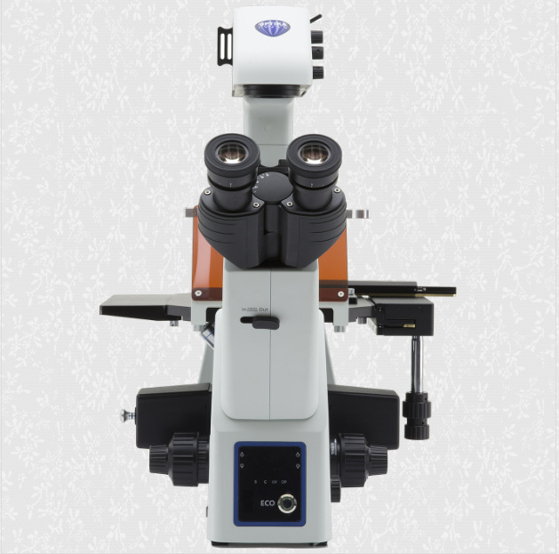 �����OPTIKA IM-5FLD ���о�������ӫ����΢��24mm�ӳ�