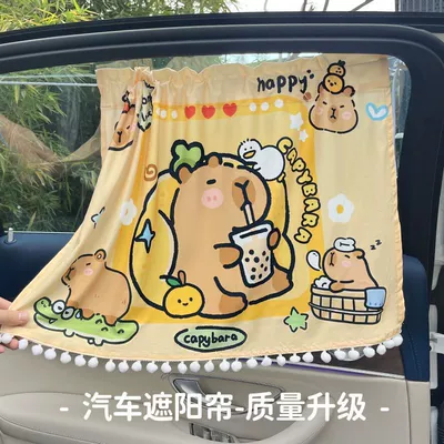 Car curtains — Protection and Heat Insulation for Cars