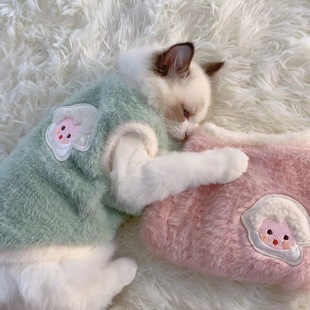 Puppy clothes 2023 new autumn and winter teddy bear pet chenari small dog Bomei winter