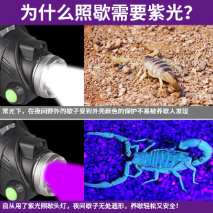 ��ϐ�ӌ��ß􏊹��^��ʽ���Ͳ�ɳ�늃��ô��ʳ����Ϲⳬ�L�m��