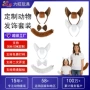 拍照洗脸生肖表演头箍