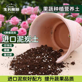 生长魔励种菜专用营养土阳台花卉蔬菜家庭果蔬土壤种植土菜土育苗