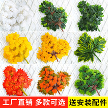 �����Ř��~�t���~�҃ȼ٘��y���~�����Ϙ�֦�����쾰�G�~ֲ���b�