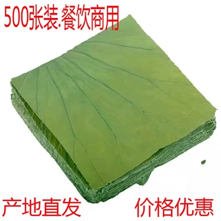 整张叫花鸡糯米鸡用包饭新鲜荷叶片中药材方形荷叶500片