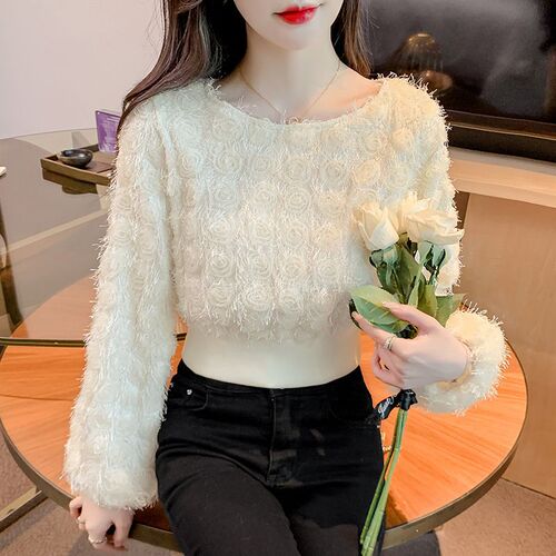 Spring new style, age-reducing fashion, ultra-immortal waist waist lantern, long-sleeved hoodie, women's small short top