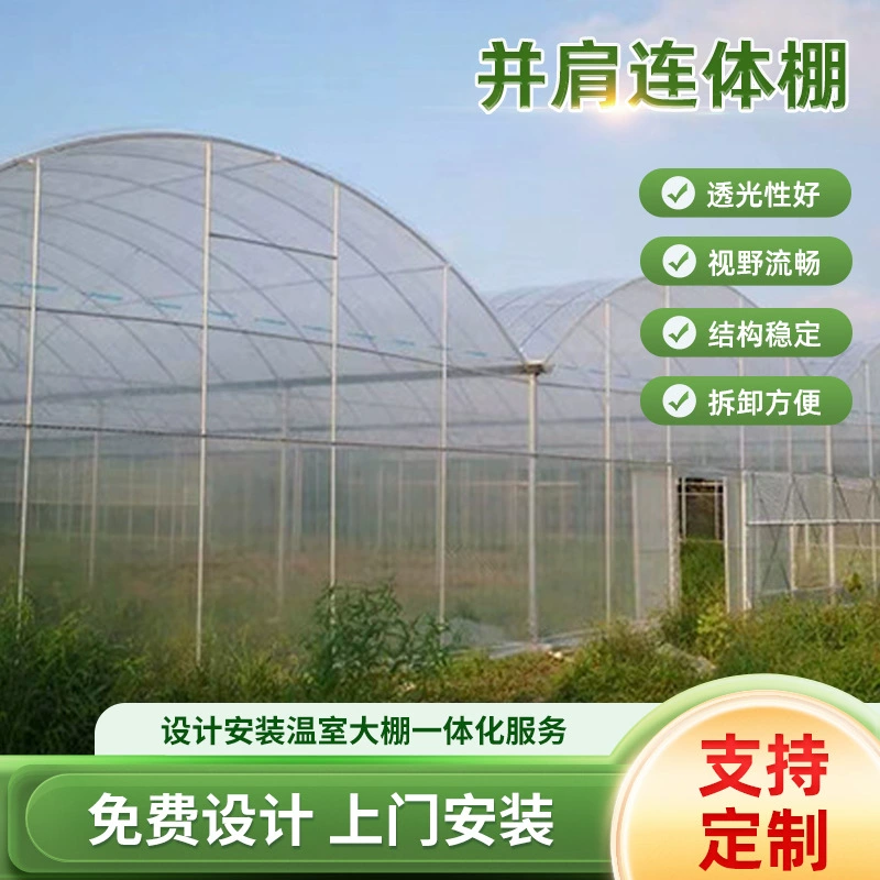 Простая соединенная теплица с плечами бок о бок