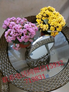 �S�����l�F߅�p���R