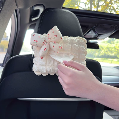 Car tissue box/set, and Fresh Style with Bow