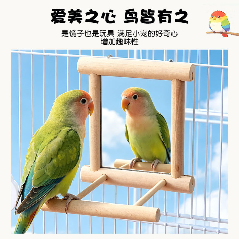 Small and medium-sized parrot supplies parrot Bell toy bird mirror bird cage stand stand bar accessories bird toy factory Small and medium-sized parrot supplies parrot Bell toy bird mirror bird cage stand stand bar accessories bird toy factory