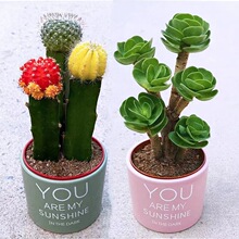 ��ؔԴ�䡿���ֺ��B�_������ֲ�������҃ȾGֲ���ܺ��B��������