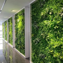 �̨���ϾGֲ�����b��҃ȾW�t�����������پGֲ̦�\������ֲ�