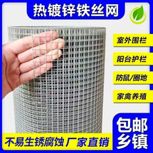 热镀锌铁丝网围栏镀锌养殖钢丝网防鼠防蛇网养鸡鸭鸟笼阳台防护网