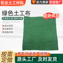 绿色长丝土工布保湿阻水土工布 园林绿化短纤堤坝防寒布工程布