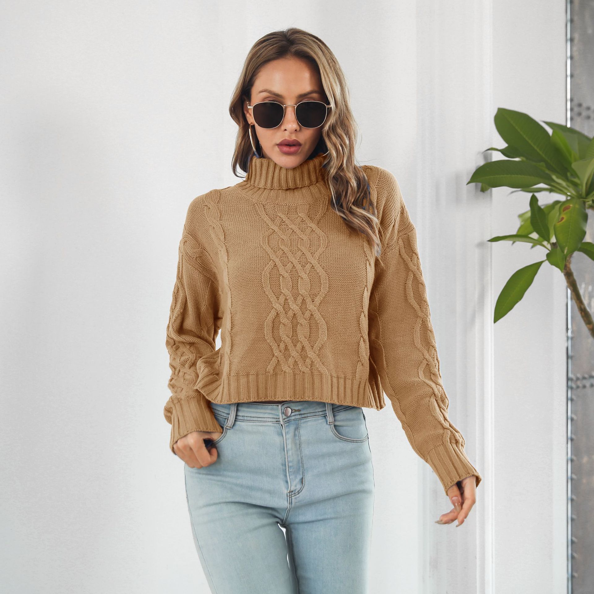 Knit Turtleneck Short Sweater Women Loose Autumn Winter Long Sleeve Sweater Sweater