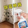 厂家批发除霉剂 墙体墙面发霉去除防霉剂 家用祛霉斑霉菌清洁剂