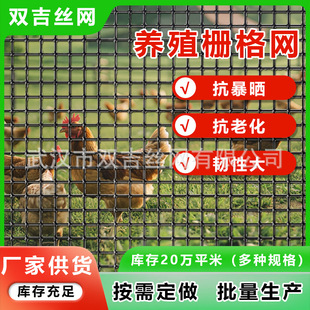 Wholesale Plastic Fence Net Thickeneded Breeding Net Household Rural Chicken Leakage Special Orchard Vegetable Garden Enclosure Fence