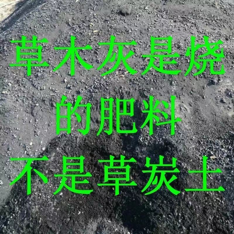 1ffdf98b-e0d5-4205-aa21-1e863cedee42.jpe