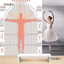 体态评估表系统瑜伽健身私教体测表体位体姿测试图体型评估麦太保