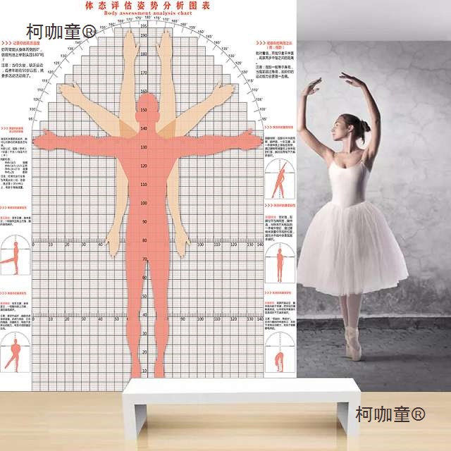 体态评估表系统瑜伽健身私教体测表体位体姿测试图体型评估麦太保