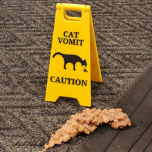 U 63417 Pet Vomit Warning Sign ����I�¾�����R�羳���Q