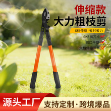 �޼���֦�@�ֹ��������֦���ߴ�֦��������ʡ����s�@ˇ���߼���