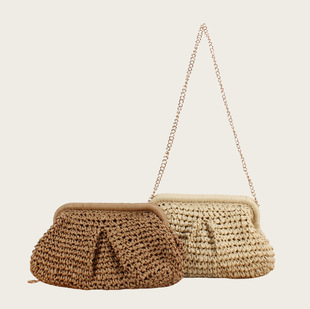 Cross-Border Ins Paper Rope Woven Bag Female Internet Celebrity Hand-Held Shoulder Crossbody Shoulder Strap Vacation Beach Bag Versatile Chain Bag
