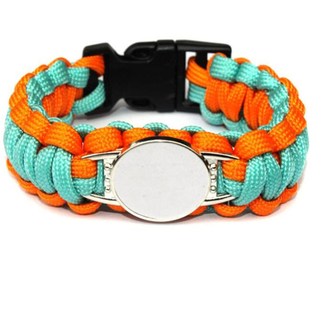 마이애미 돌고래