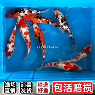 ��ɫ�\���~���w�~�^�p�~�t���\�����~���B�ͻˮ��ˮ�~�~��