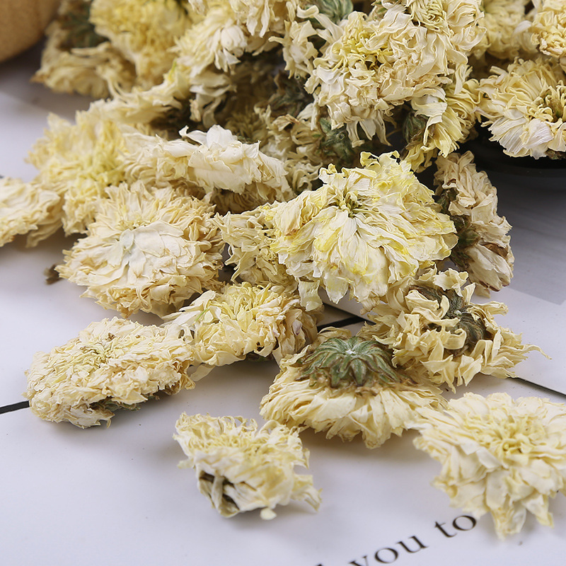 メーカー卸売り安徽黄山功菊源直供菊茶葉バラ白菊新商品七月菊茶|undefined