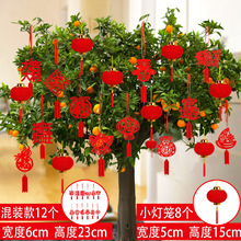 ����Ԫ���辰С���\����҃ȑ���ֲ���b���Ʒ�o���������������