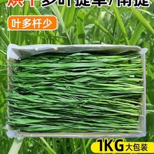 25ɶ~ĦݸɲӲüZ؈miĦ