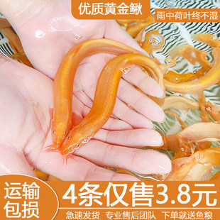 �S�����q�������ˮ�~�^�p�~��ˮ�~С���~С�t�~�����~�r�����q��