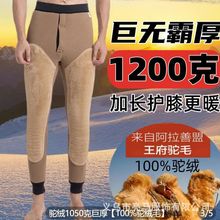 100%驼绒毛巨厚男士加厚千克骆驼绒棉裤东北零下40度超厚保暖裤男