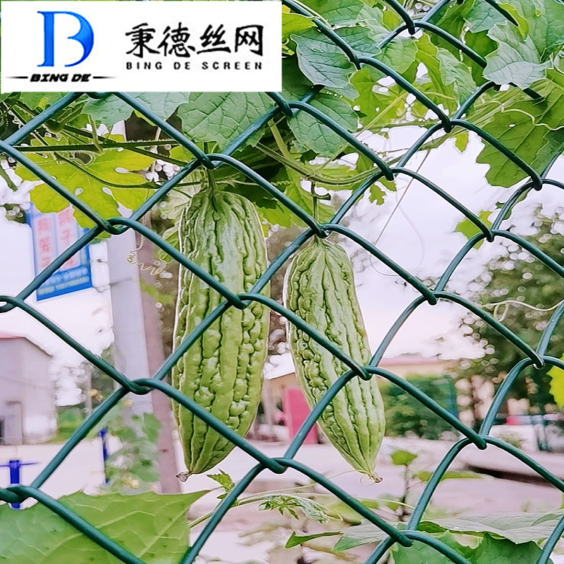 包塑铁丝勾花网圈地菱形网矿用山坡绿化铁丝网煤矿支护网编织网