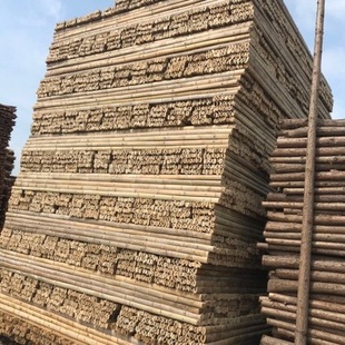 �����S��ֱ�N��� ���� ��Ƭ ������ ���_��Ƭ ���NҎ��