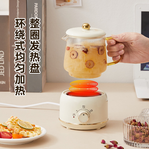 Multifunctional health pot home office mini flower teapot mini kettle tea gift box set