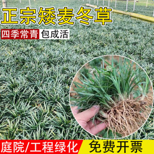 ��������Ƥ�ձ����������ͺ��ͺ����~���~�������A��ͥԺ�e���G��