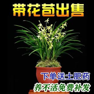 ���m���F�m���ļ��m�_���M���h�����B�҃Ȼ������Lˮ��С�Ҽt����