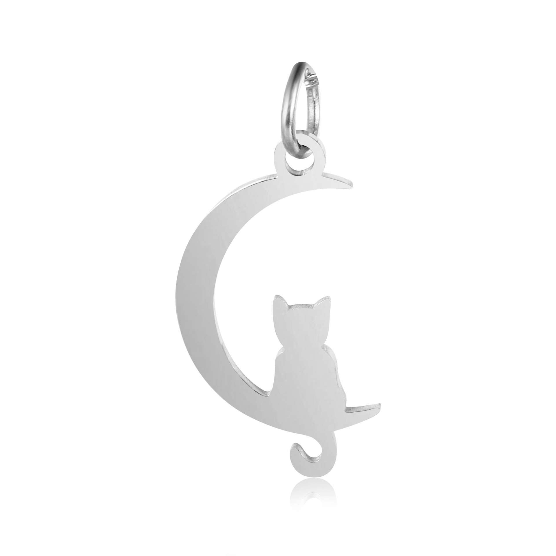 DOOYIO 5 teile/los Edelstahl Pet Halsband Mond Katze Spiegel Poliert Anhänger DIY Machen Halskette Gold-überzogene Zubehör – Detail 5